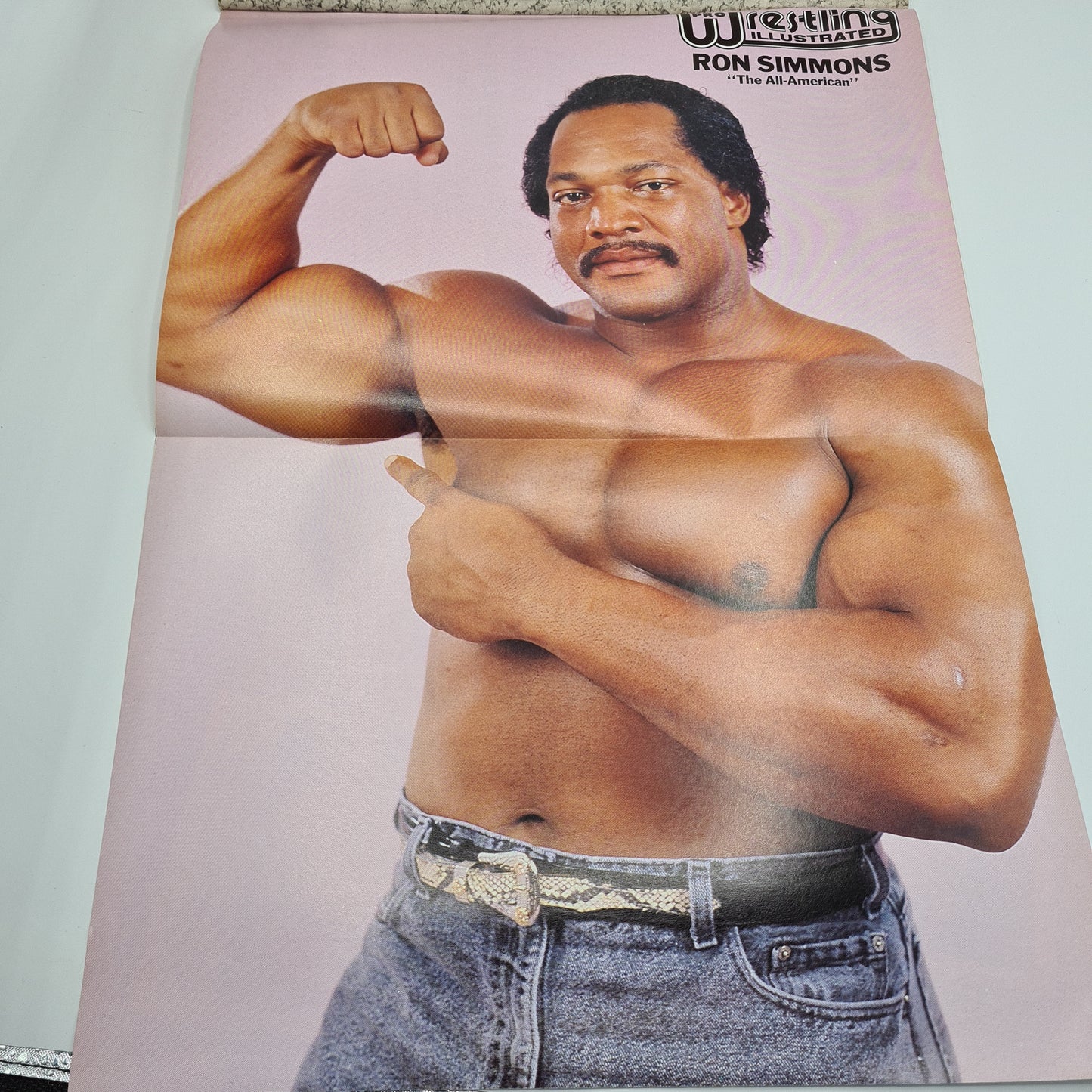 Pro Wrestling Illustrated January 1992 WWF WCW