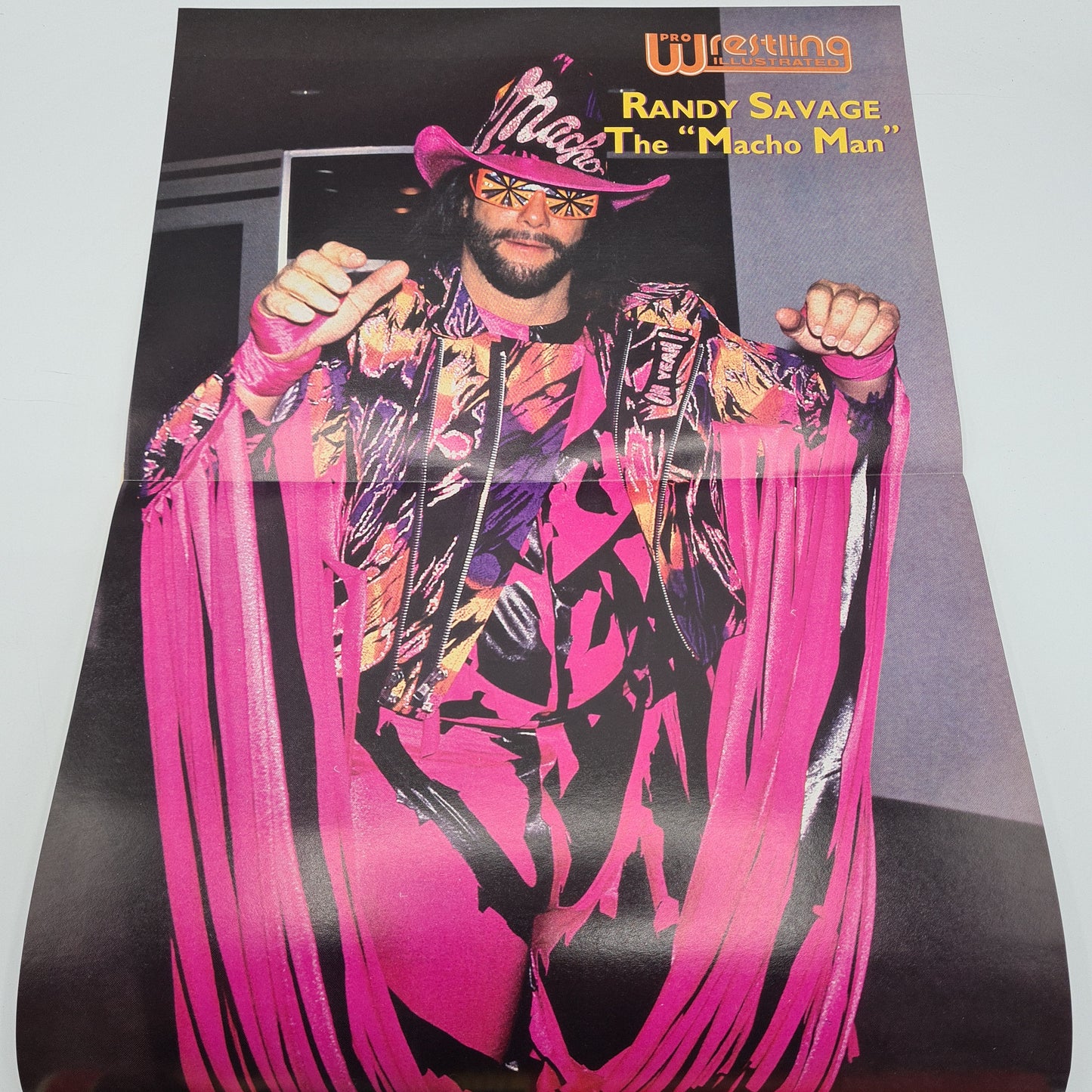 Pro Wrestling Illustrated Magazine November 1994 Hulk Hogan WWF WCW