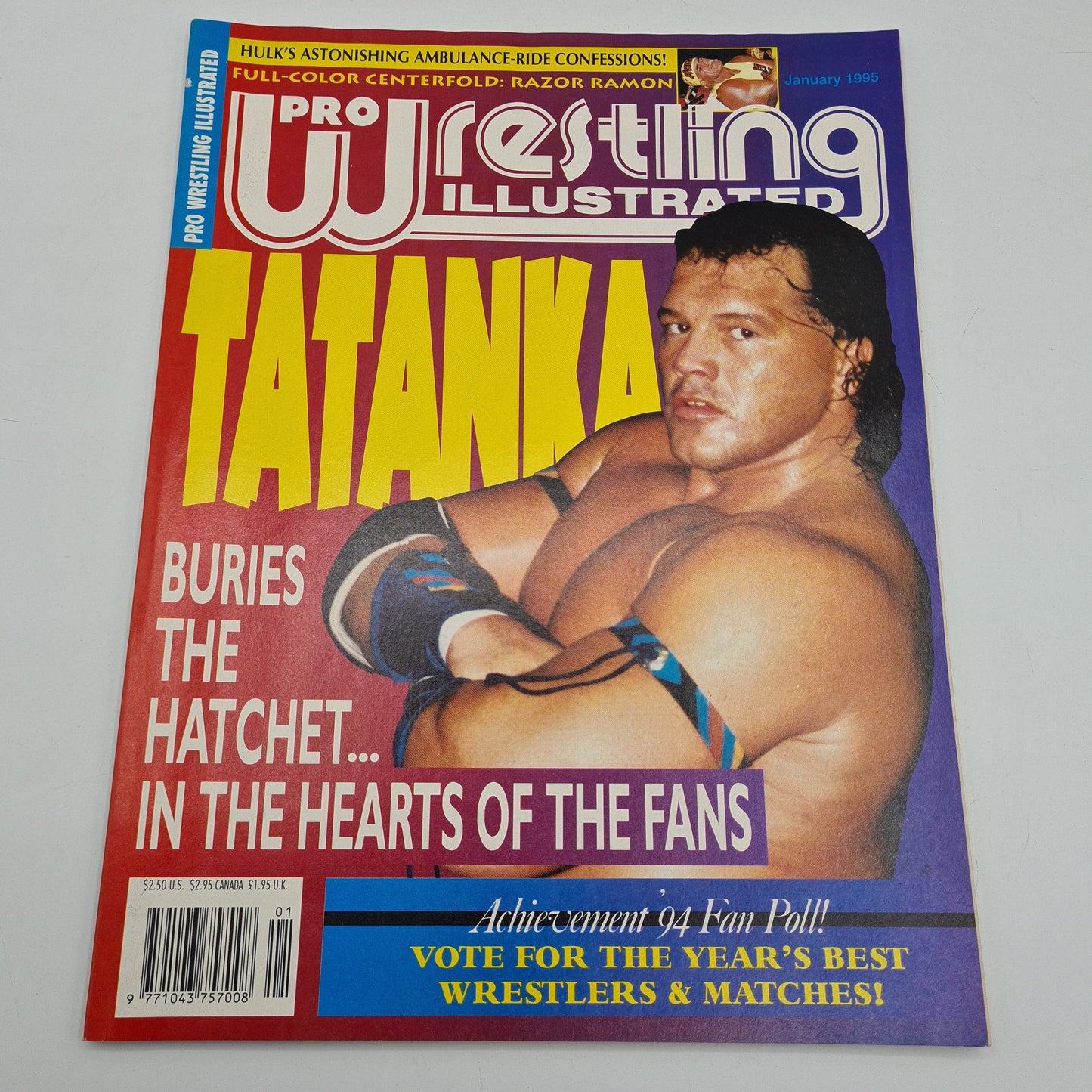 Pro Wrestling Illustrated Magazine January 1995 Tatanka WWF WCW