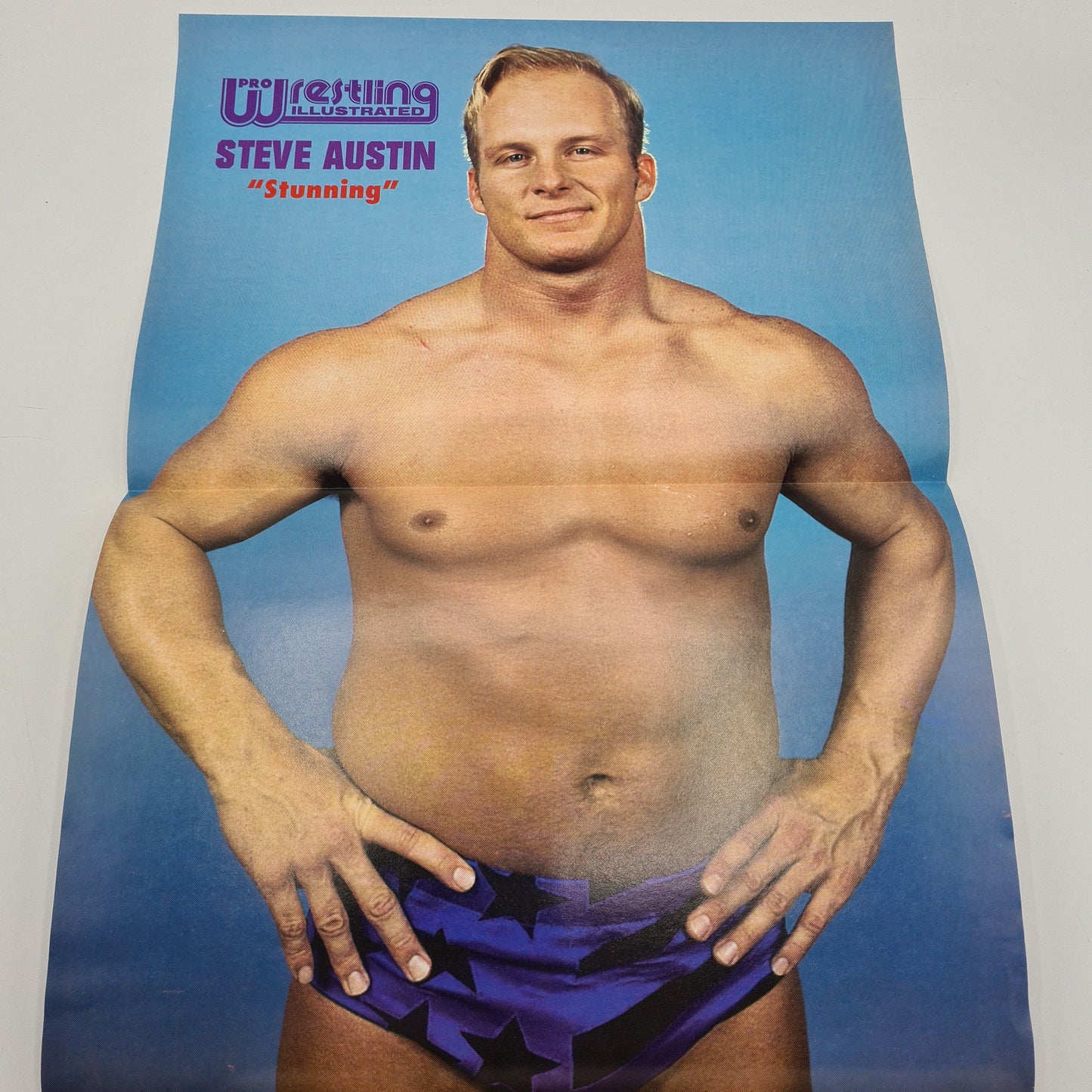 Pro Wrestling Illustrated Magazine December 1994 Hulk Hogan Bret Hart WWF WCW