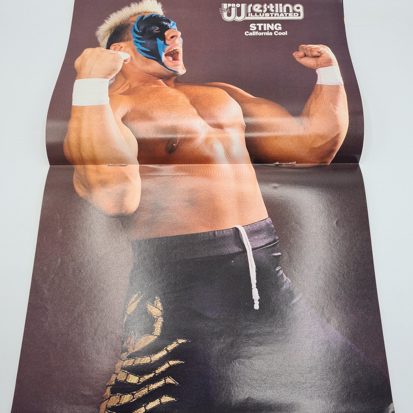 Pro Wrestling Illustrated Magazine June 1990 Hulk Hogan Warrior Sting