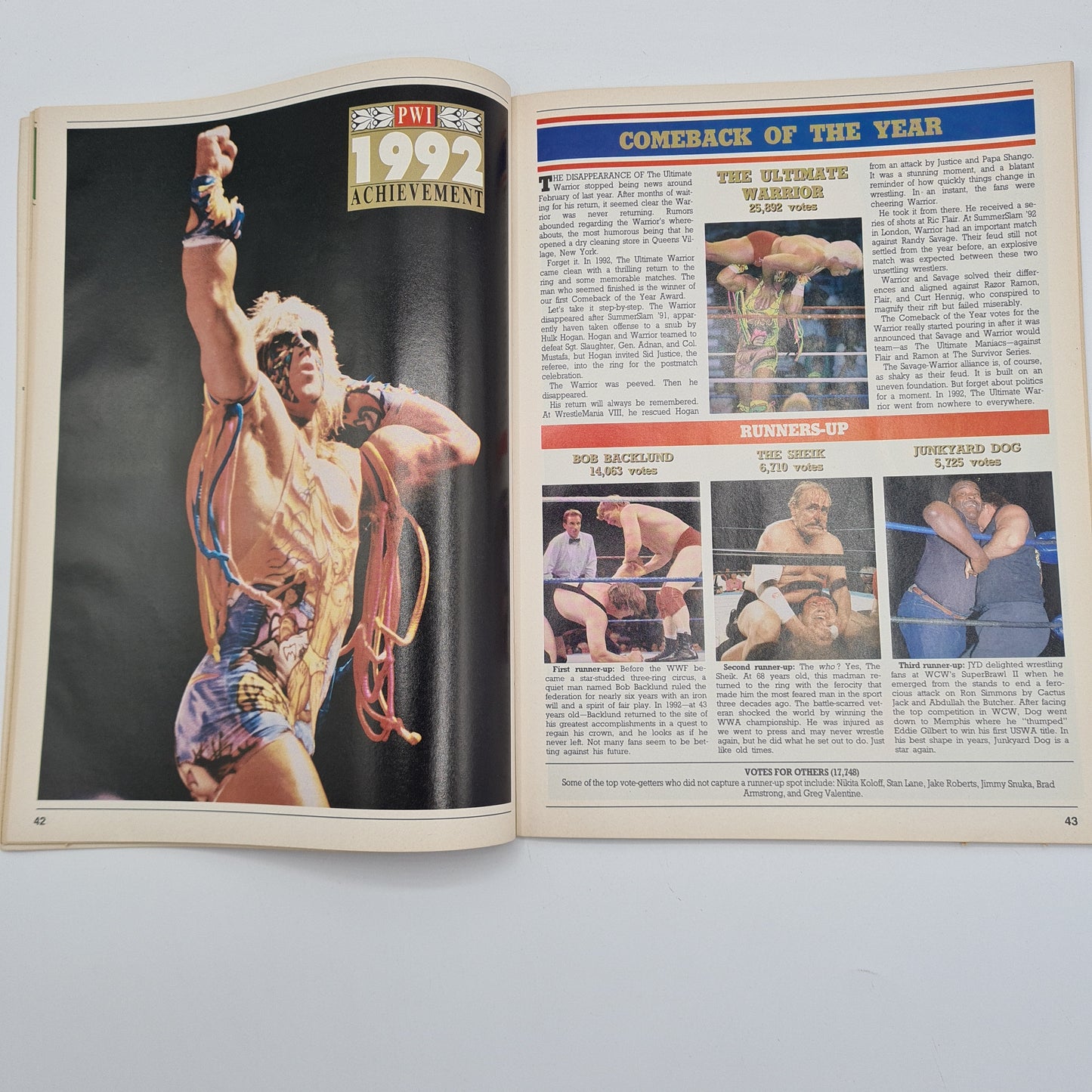 Pro Wrestling Illustrated Magazine March 1993 Sting Warrior Rick Rude WWF WCW