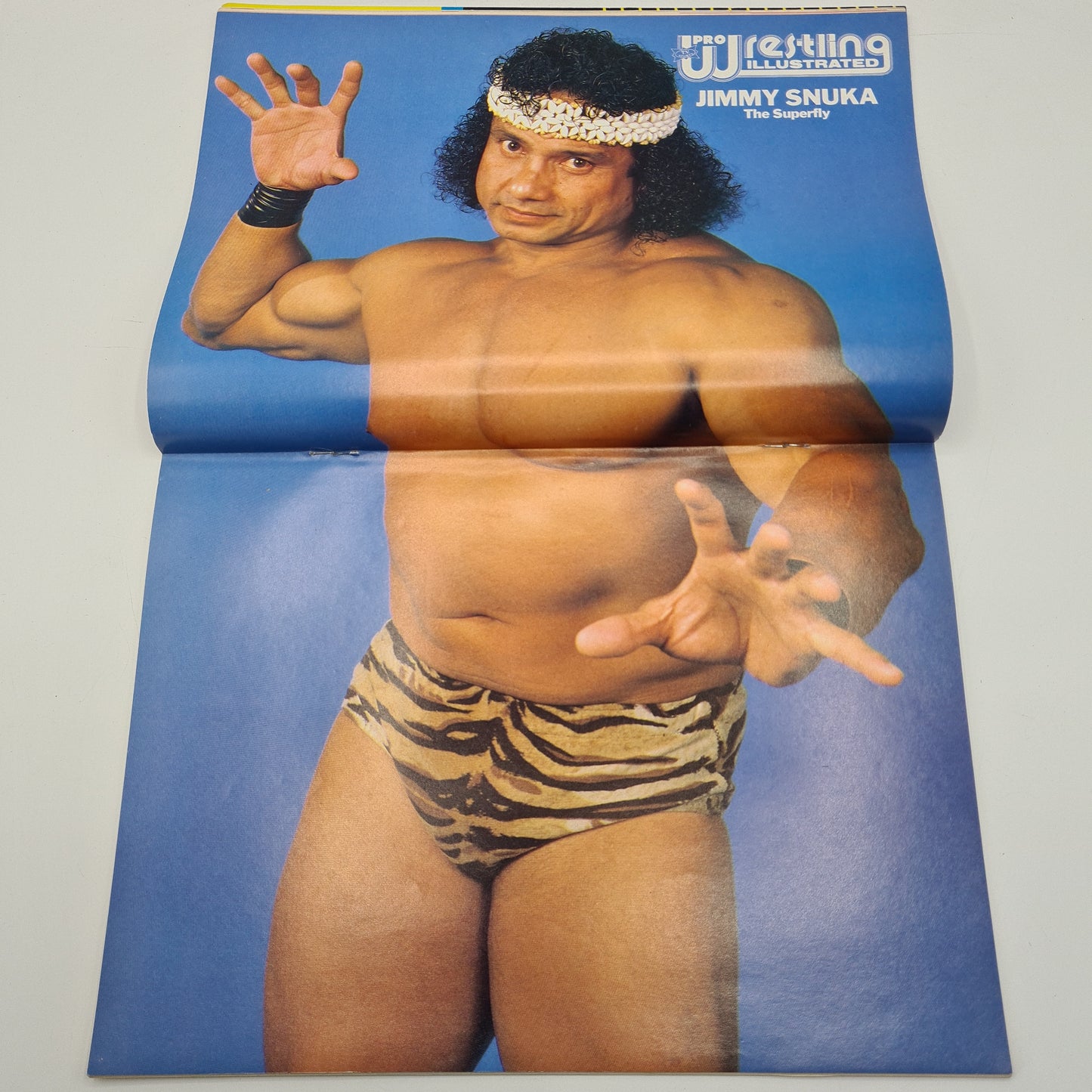 Pro Wrestling Illustrated Magazine December 1989 Sid Vicious Sting Lex Luger WWF WCW