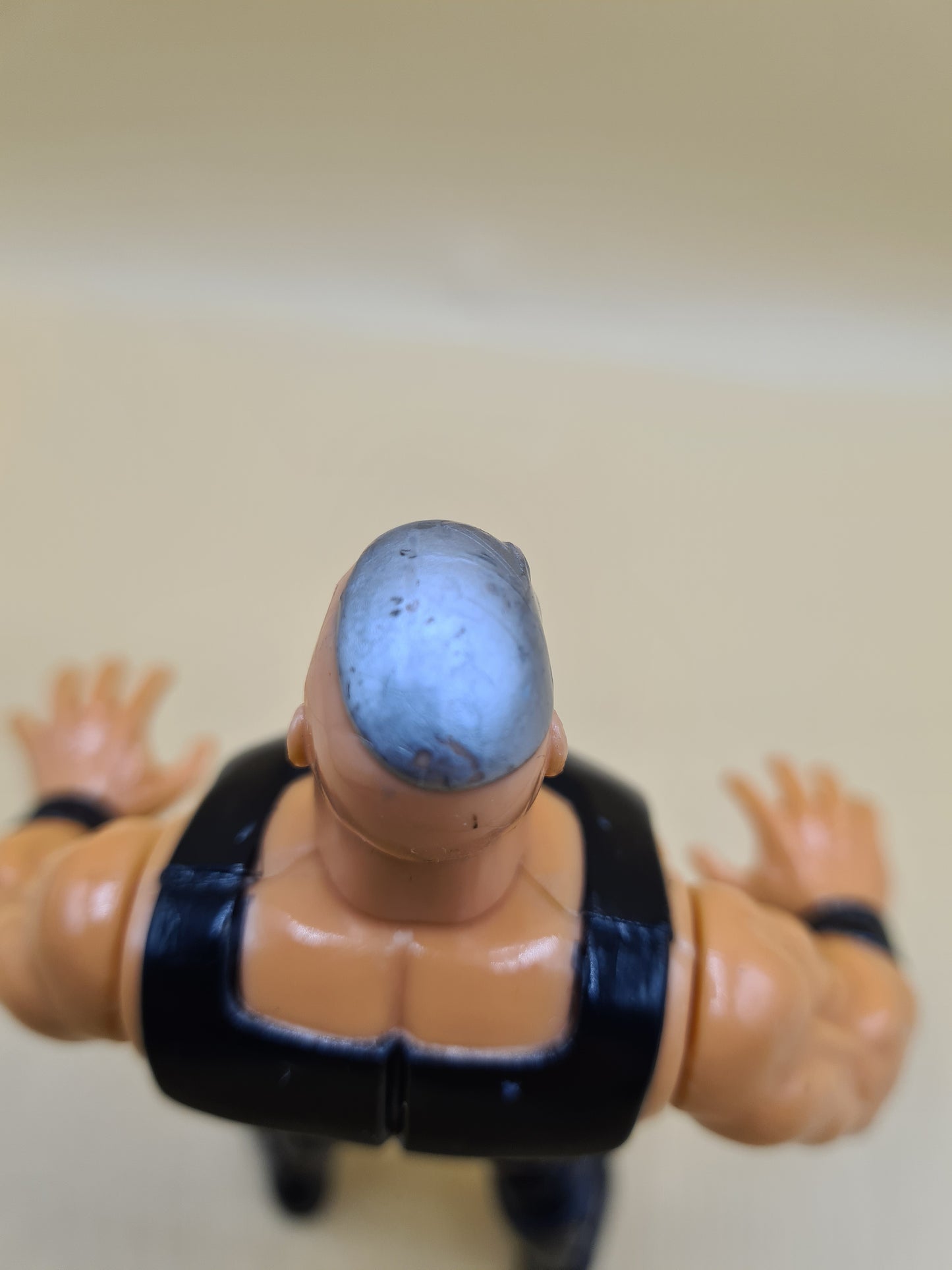 WWF WWE Hasbro Wrestling Figure Series 5 Warlord