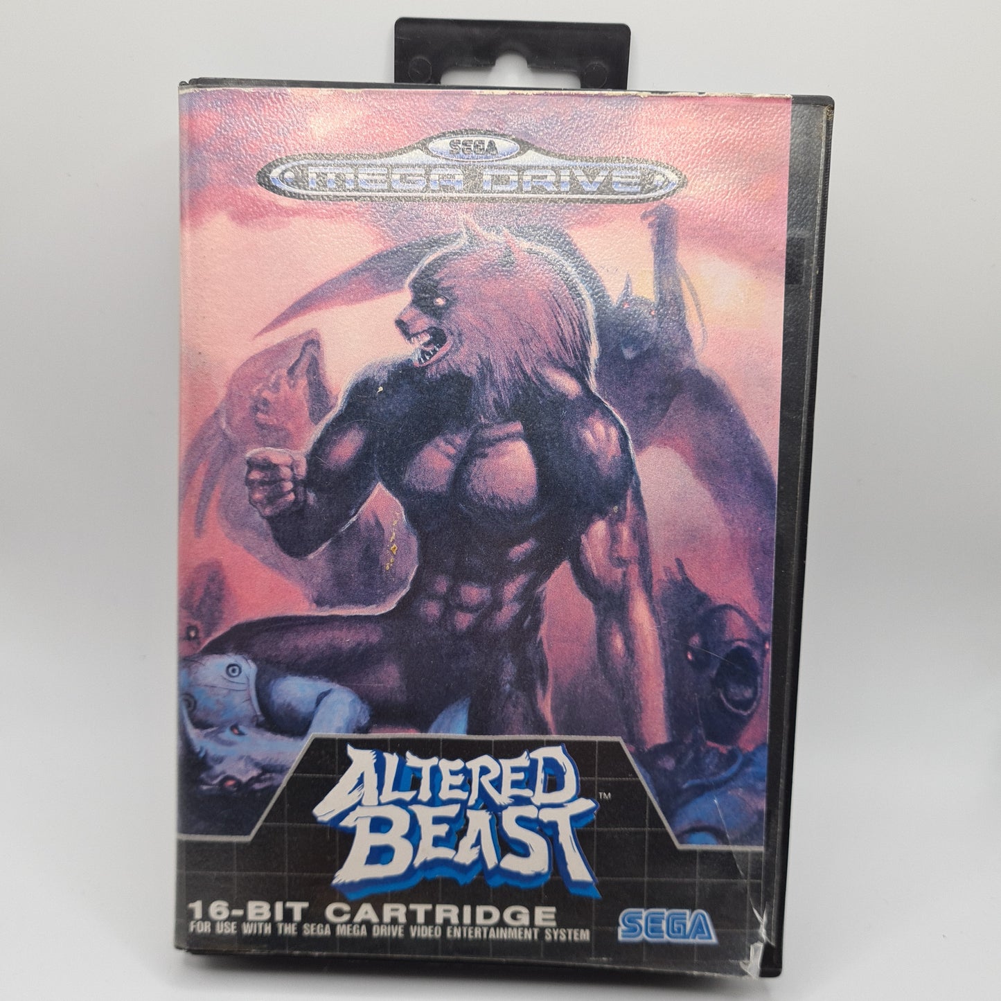 Alterd Beast 1990 Sega Megadrive Game W3