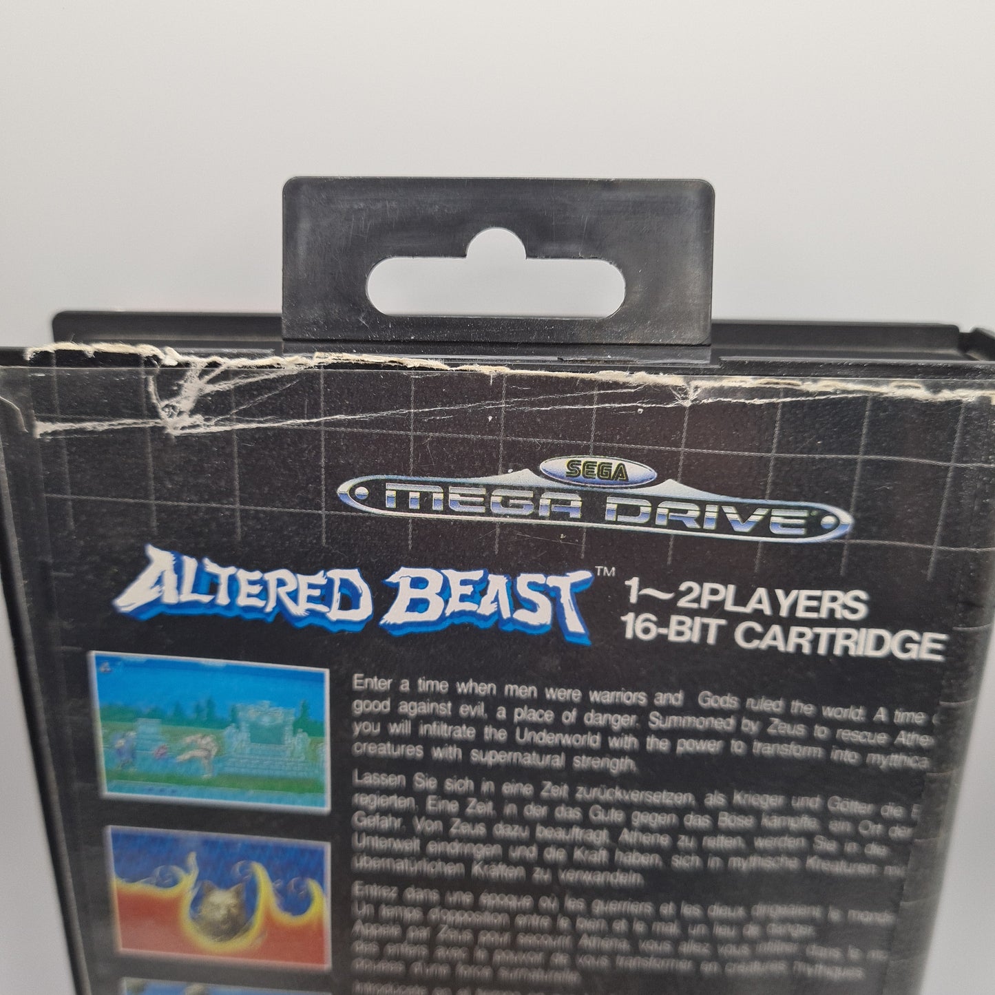 Alterd Beast 1990 Sega Megadrive Game W3