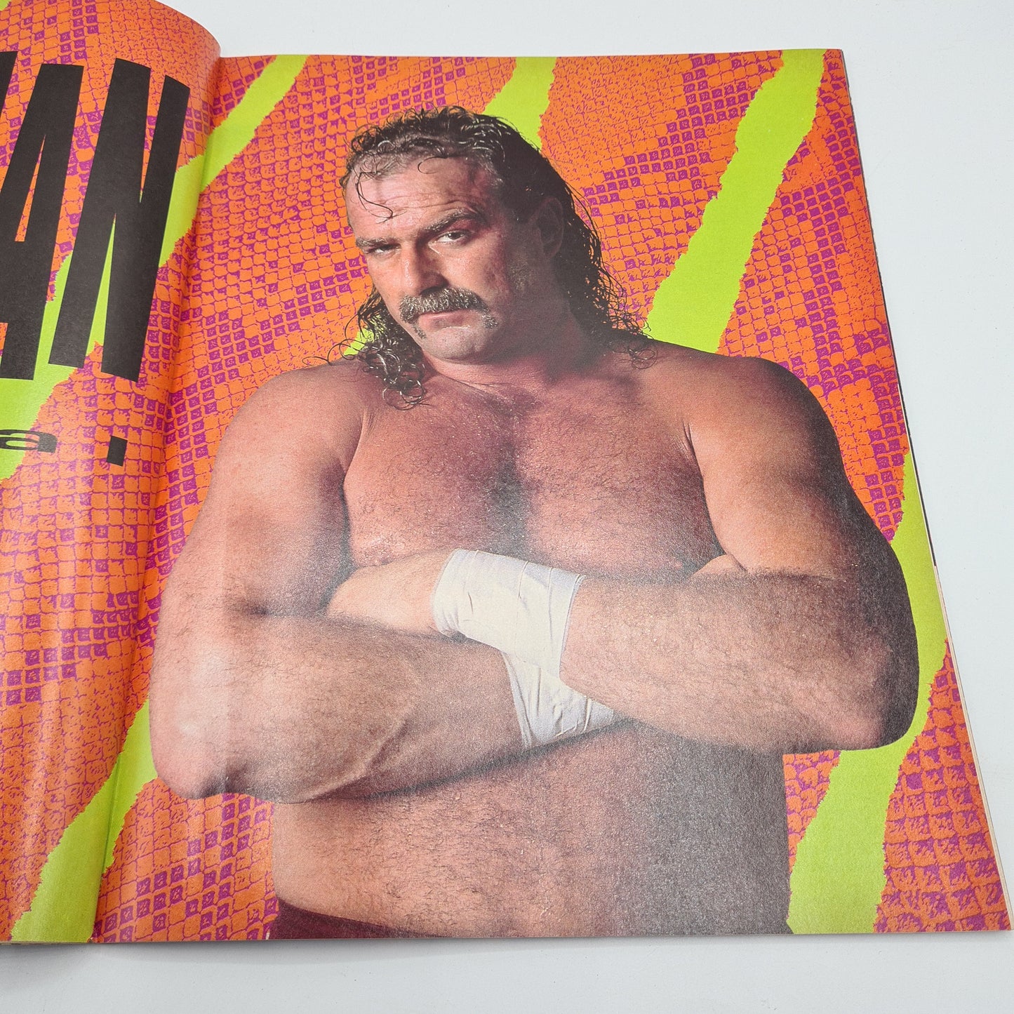 WWF WWE Magazine JULY 1991 - Jake Roberts + Merchandise Catalog