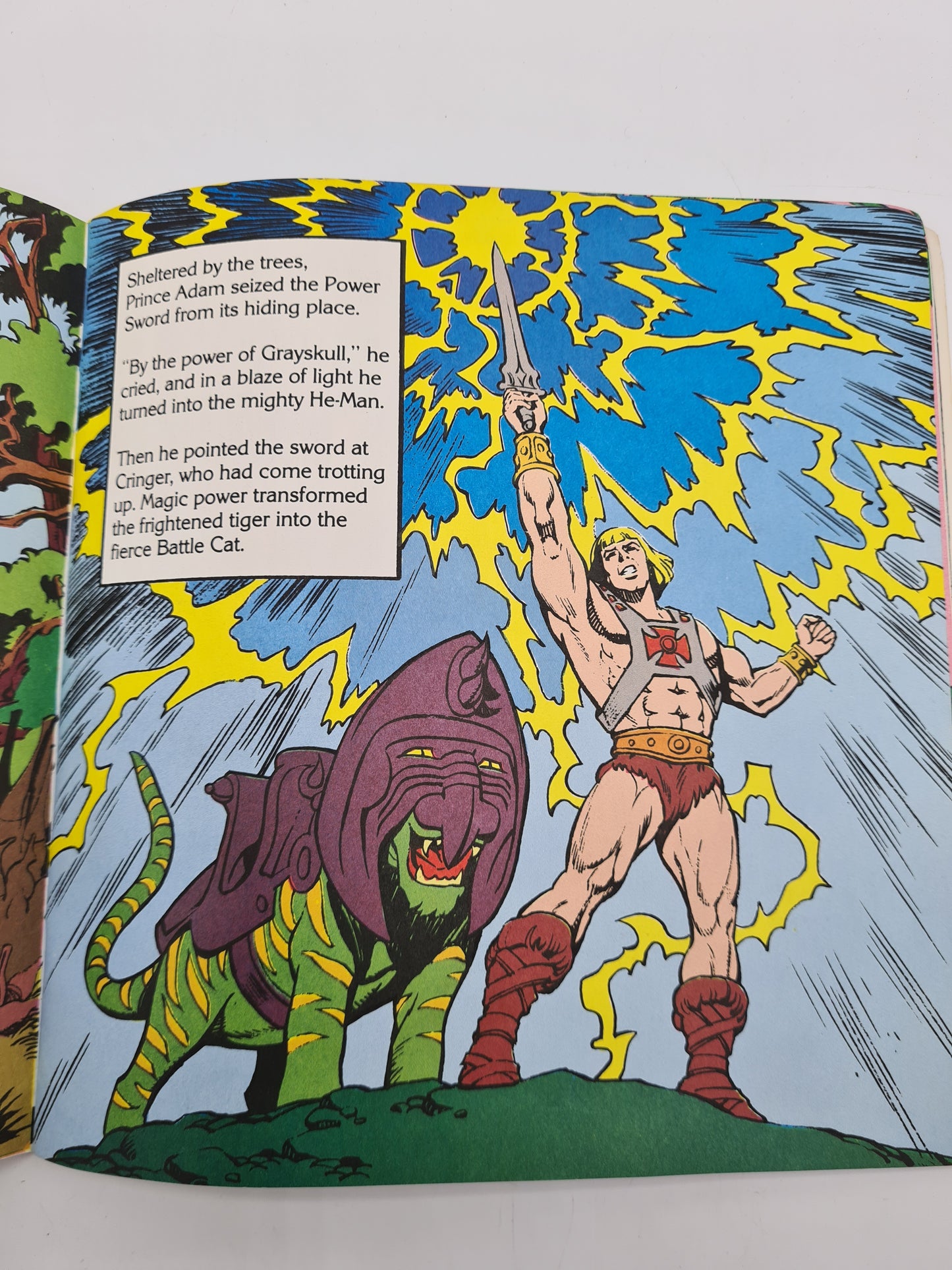 Golden Book Masters of the Universe Book "A Hero In Need" 80s W10