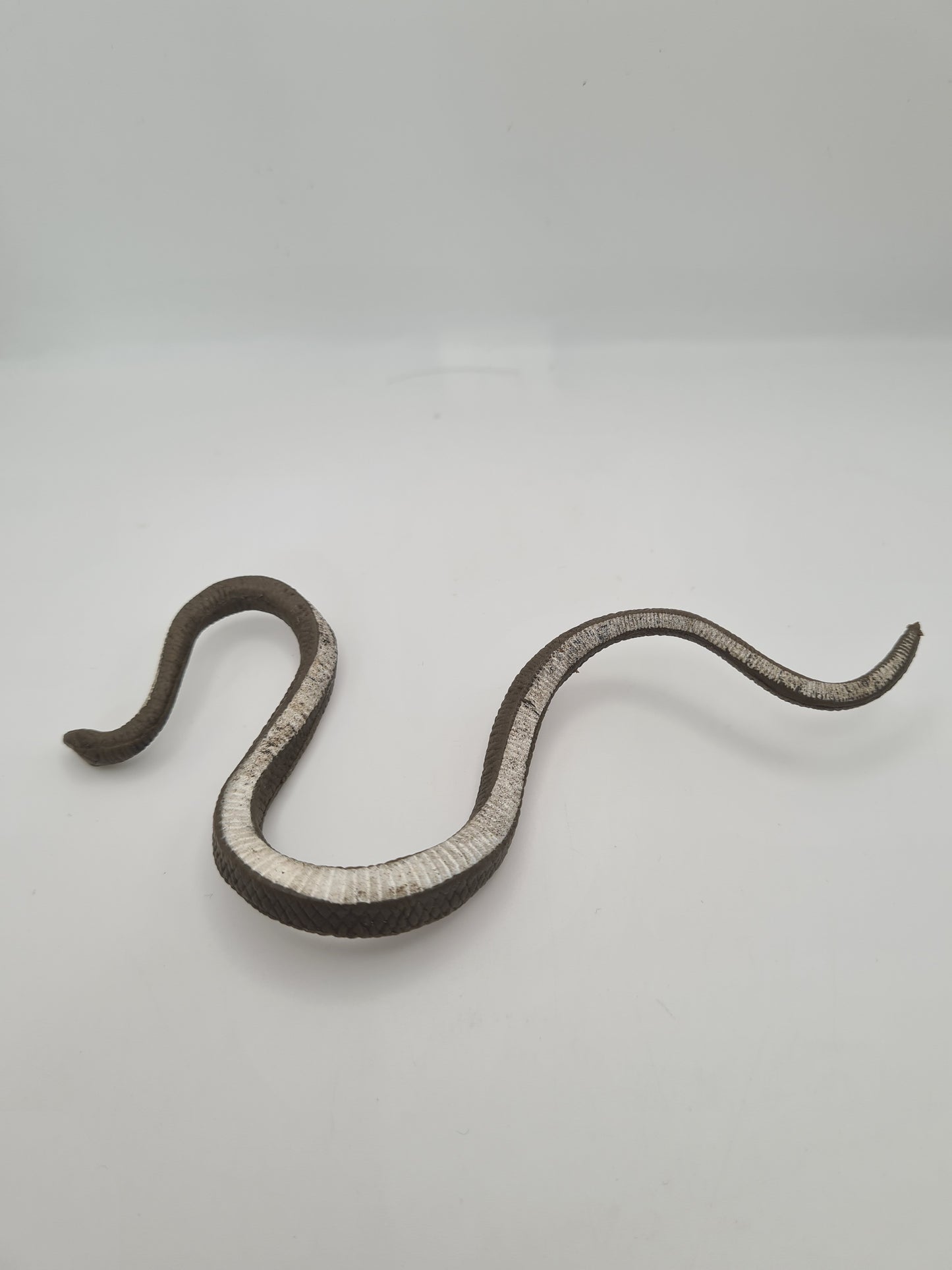 WWF Hasbro Jake the Snake Roberts Damien Vintage Accessory W4