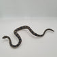 WWF Hasbro Jake the Snake Roberts Damien Vintage Accessory W4