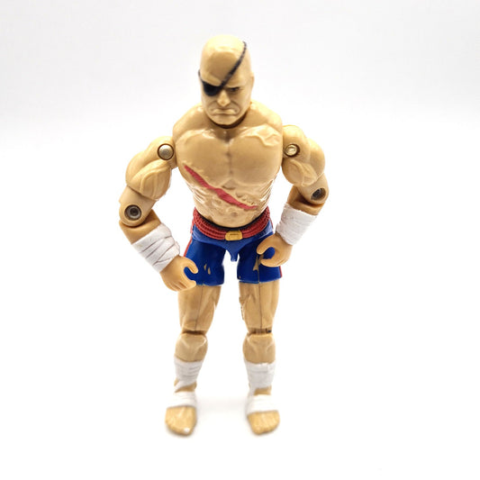 Street Fighter 90s Action Figure 3.75 W6